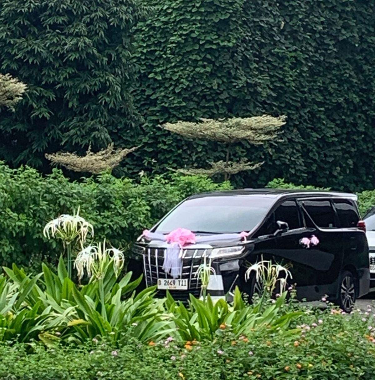 Toyota Alphard Facelift NAYVERA